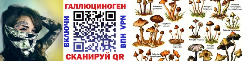 купить наркотики цена  Заинск  Галлюциногенные грибы ЛСД 