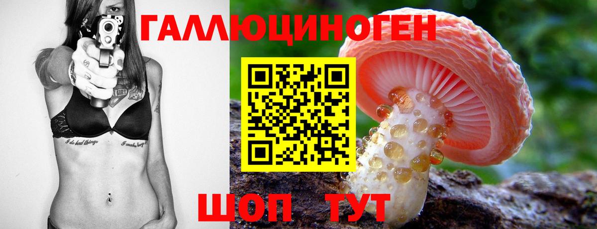 Заинск  Псилоцибиновые грибы MAGIC MUSHROOMS  Вход с VPN  Галлюциногенные грибы ЛСД 